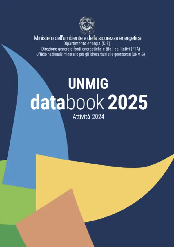 UNMIG databook 2025